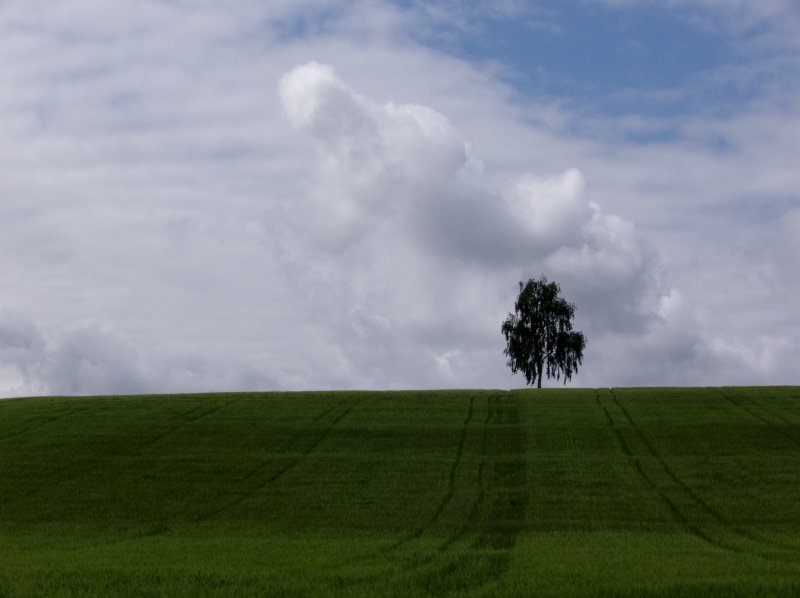 ... und macht sich in der Dämmrung auf den Weg