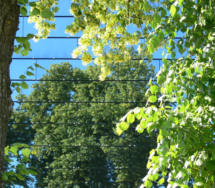 Natur im Spiegel